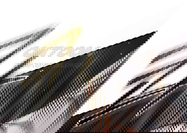 17305000499206jso5s2mbra.jpg