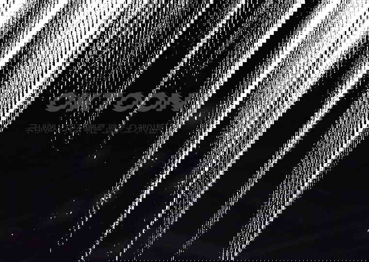 1730500052382yandgzmfvzo.jpg