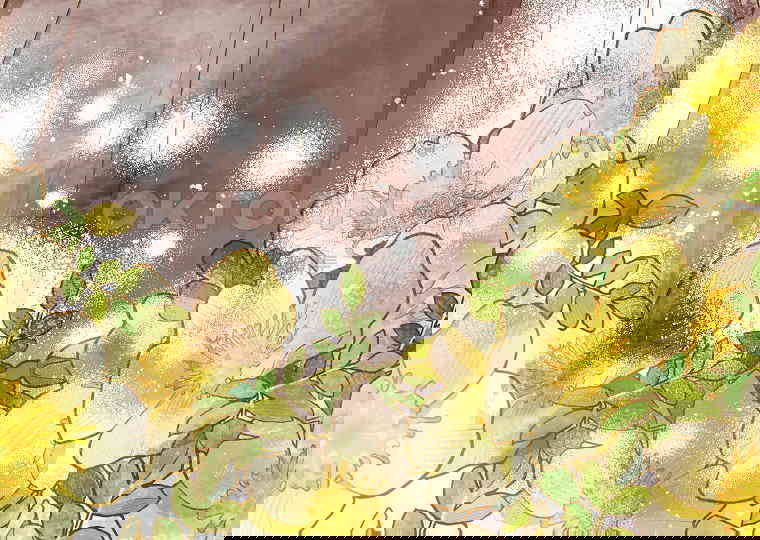 1730500053768vfi28j1uec.jpg