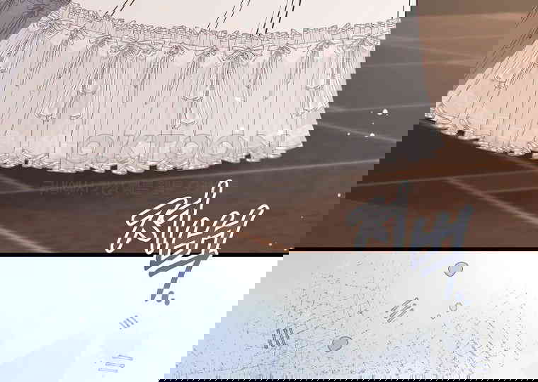 17305000722689zc3jn5dwkb.jpg