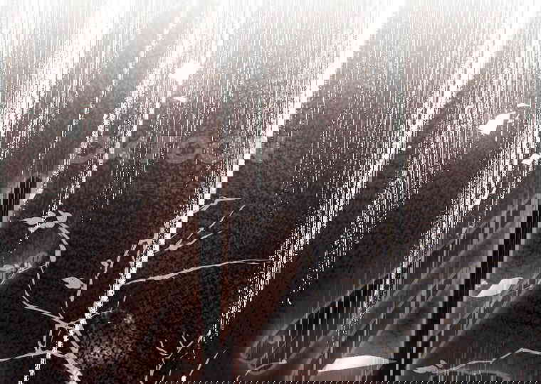 17305000839298krw5tgxsnn.jpg
