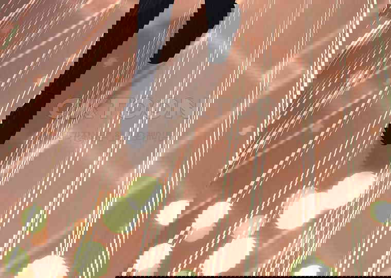 1730500087163pueprkanu7.jpg