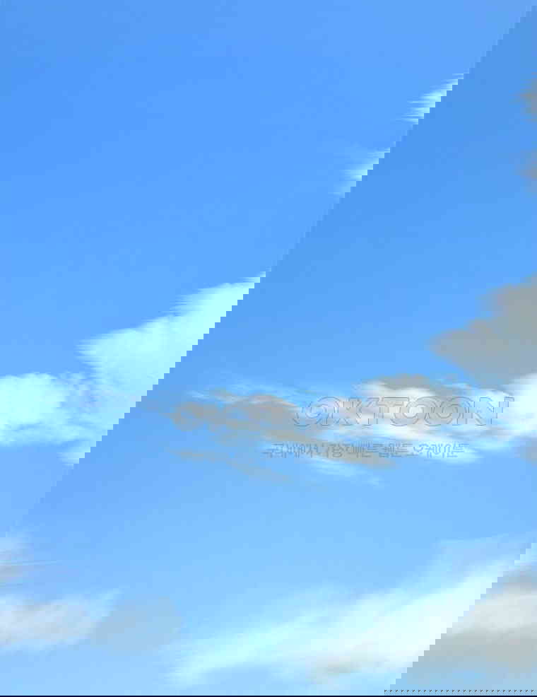 1730501638745y1du2x6jts.jpg