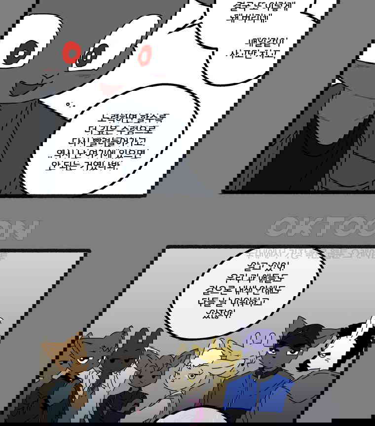 17306619286704i8u0czdwz.jpg