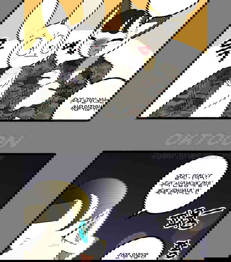 173066194513237og8oft0xc.jpg