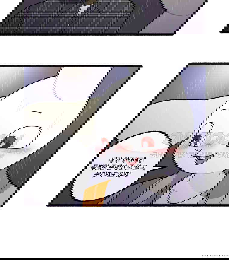 1730662074650ibgapbexxq.jpg