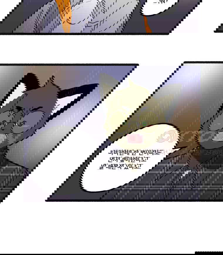 17306620779185zshahuwmvo.jpg
