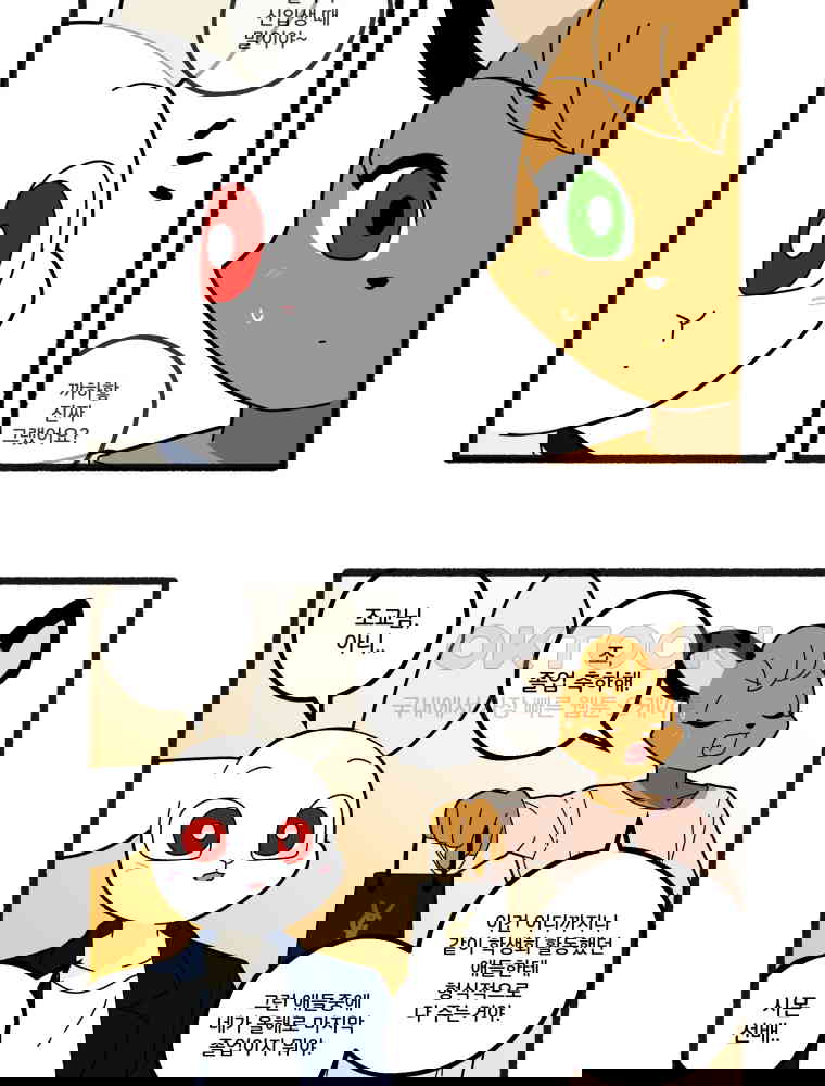 1730662314530wn312aetqur.jpg