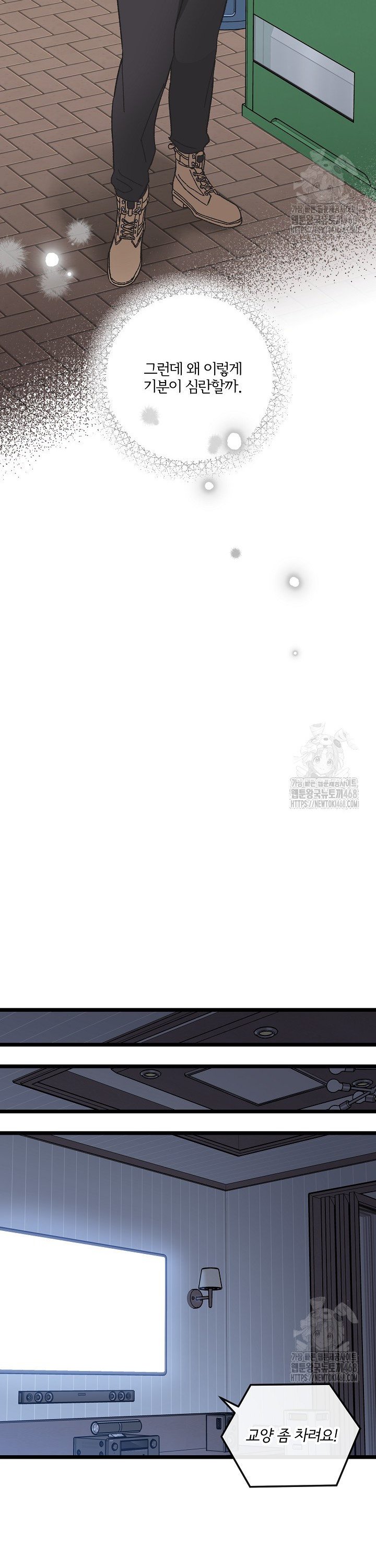 17404705568370bjktypt81l.jpg