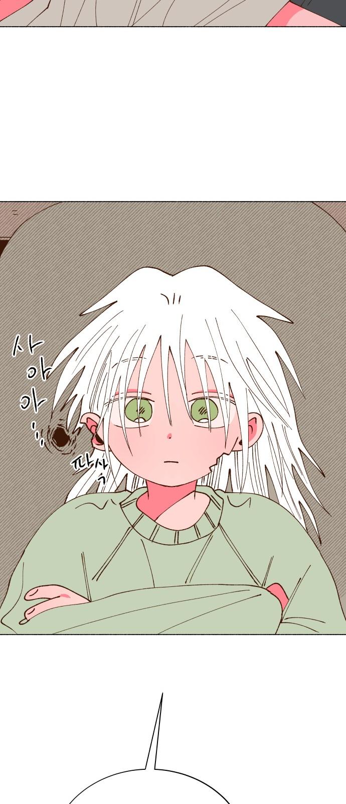 1741298152064asf3x0wfadh.jpg