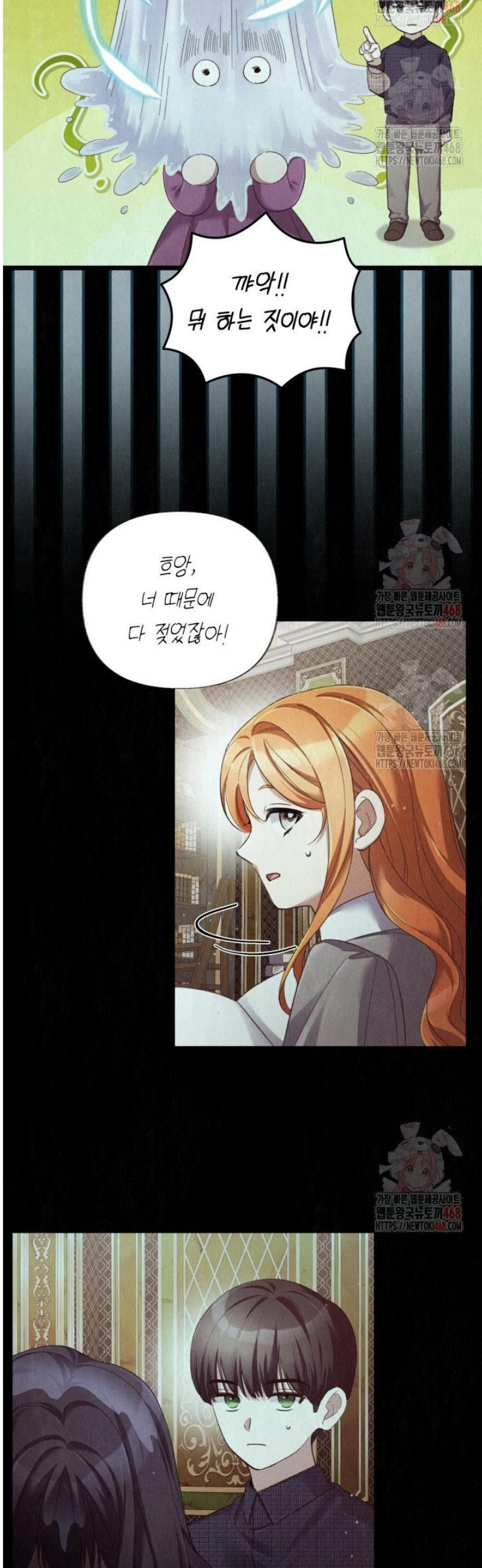 1747465531002t8gisqu88.jpeg